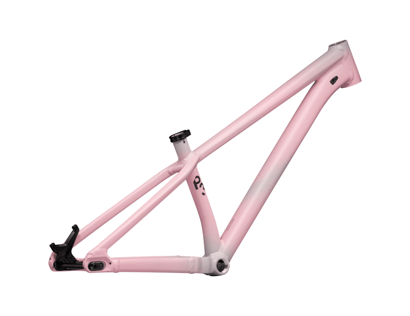 TELAIO SPECIALIZED P.3