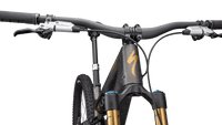 BICI SPECIALIZED S-WORKS STUMPJUMPER 15