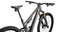 BICI SPECIALIZED S-WORKS STUMPJUMPER 15