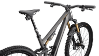 BICI SPECIALIZED S-WORKS STUMPJUMPER 15