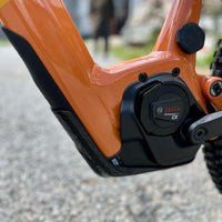 PARAMOTORE FOCUS 2023