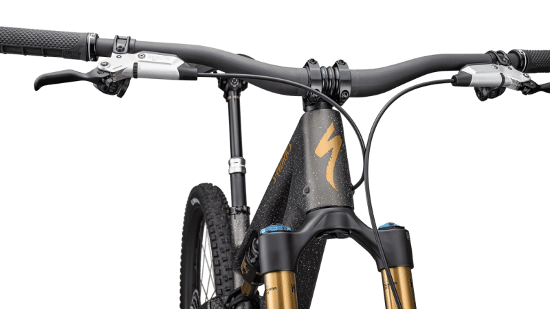 BICI SPECIALIZED S-WORKS STUMPJUMPER 15