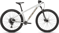 BICI SPECIALIZED ROCKHOPPER EXPERT 2025