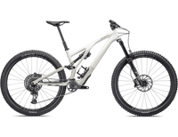 BICI SPECIALIZED STUMPJUMPER EVO EXPERT