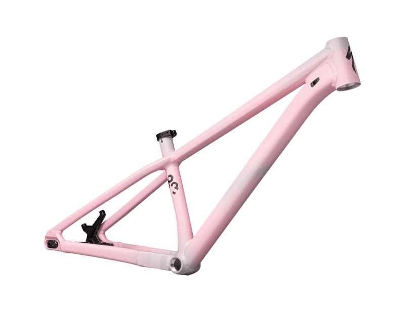 TELAIO SPECIALIZED P.3