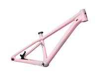 TELAIO SPECIALIZED P.3
