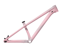 TELAIO SPECIALIZED P.3