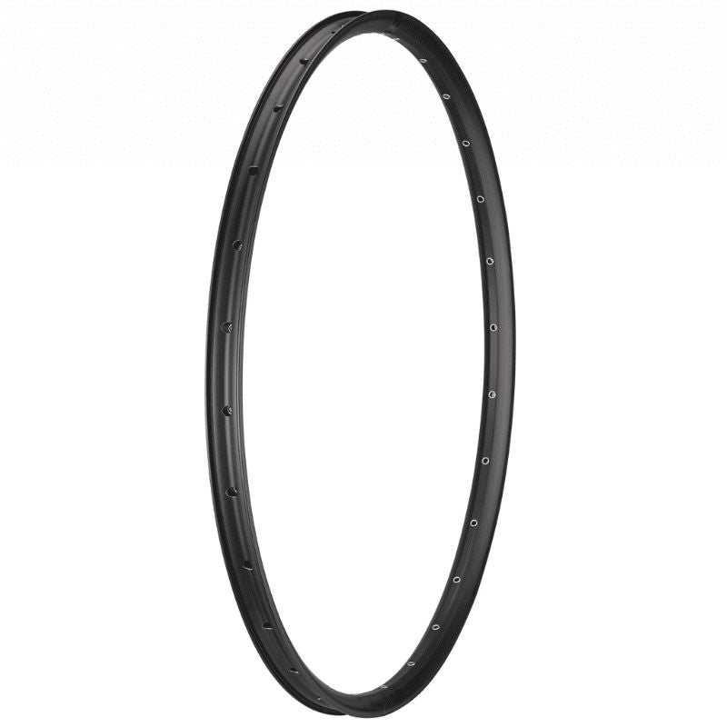 Cerchio Specialized Stumpjumper my21 as525,700c,28