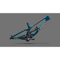 CADRE SPECIALIZED S-WORKS DEMO 11