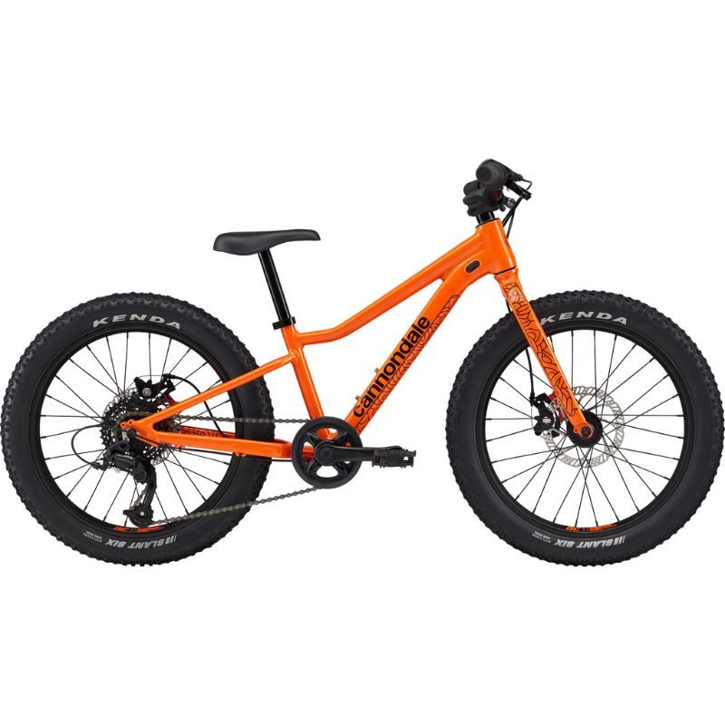 BICI CANNONDALE BIMBO KIDS TRAIL PLUS 20