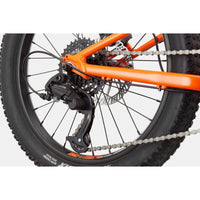 BICI CANNONDALE BIMBO KIDS TRAIL PLUS 20