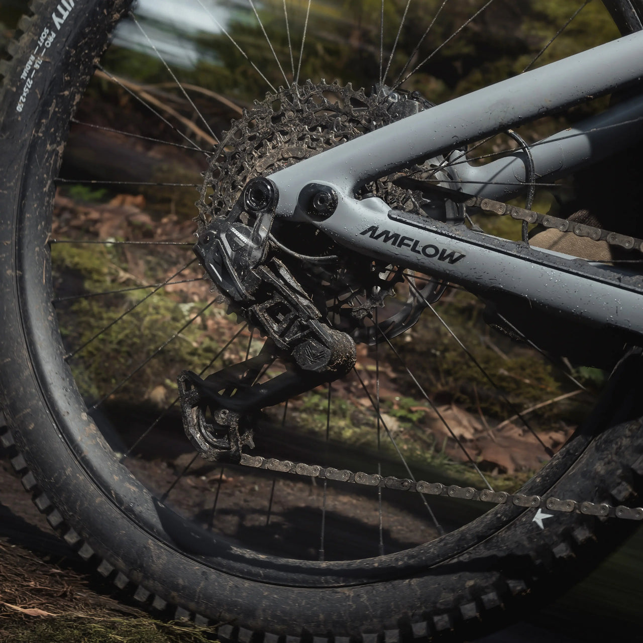 AMFLOW PR CARBON PRO BIKE