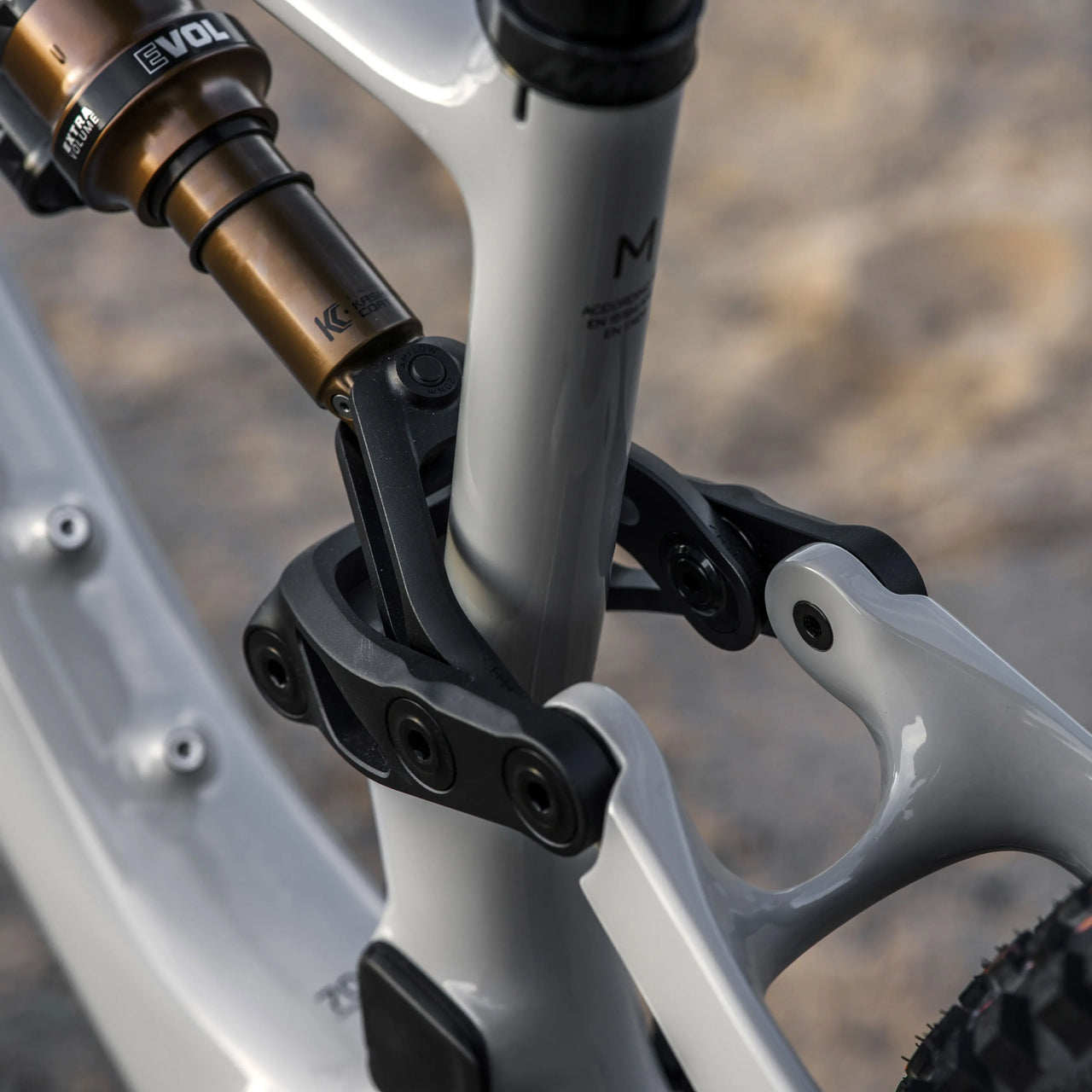 BICI AMFLOW PX CARBON PRO DETTAGLIO