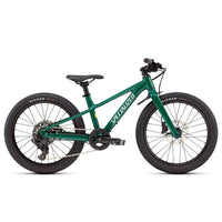 BICI SPECIALIZED BAMBINO RIPROCK 20 GREEN