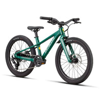 BICI SPECIALIZED BAMBINO RIPROCK 20 GREEN FRONTE
