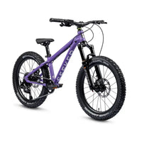 BICI BAMBINO EARLY RIDER SEEKER X 20 purple
