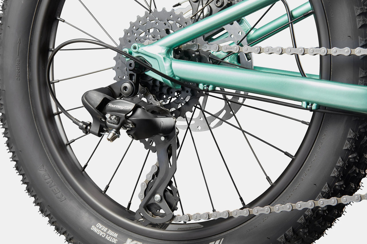 BICI CANNONDALE BAMBINO KIDS TRAIL 20 PLUS CACTUS GREEN DERAGLIATORE