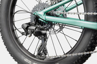 BICI CANNONDALE BAMBINO KIDS TRAIL 20 PLUS CACTUS GREEN DERAGLIATORE