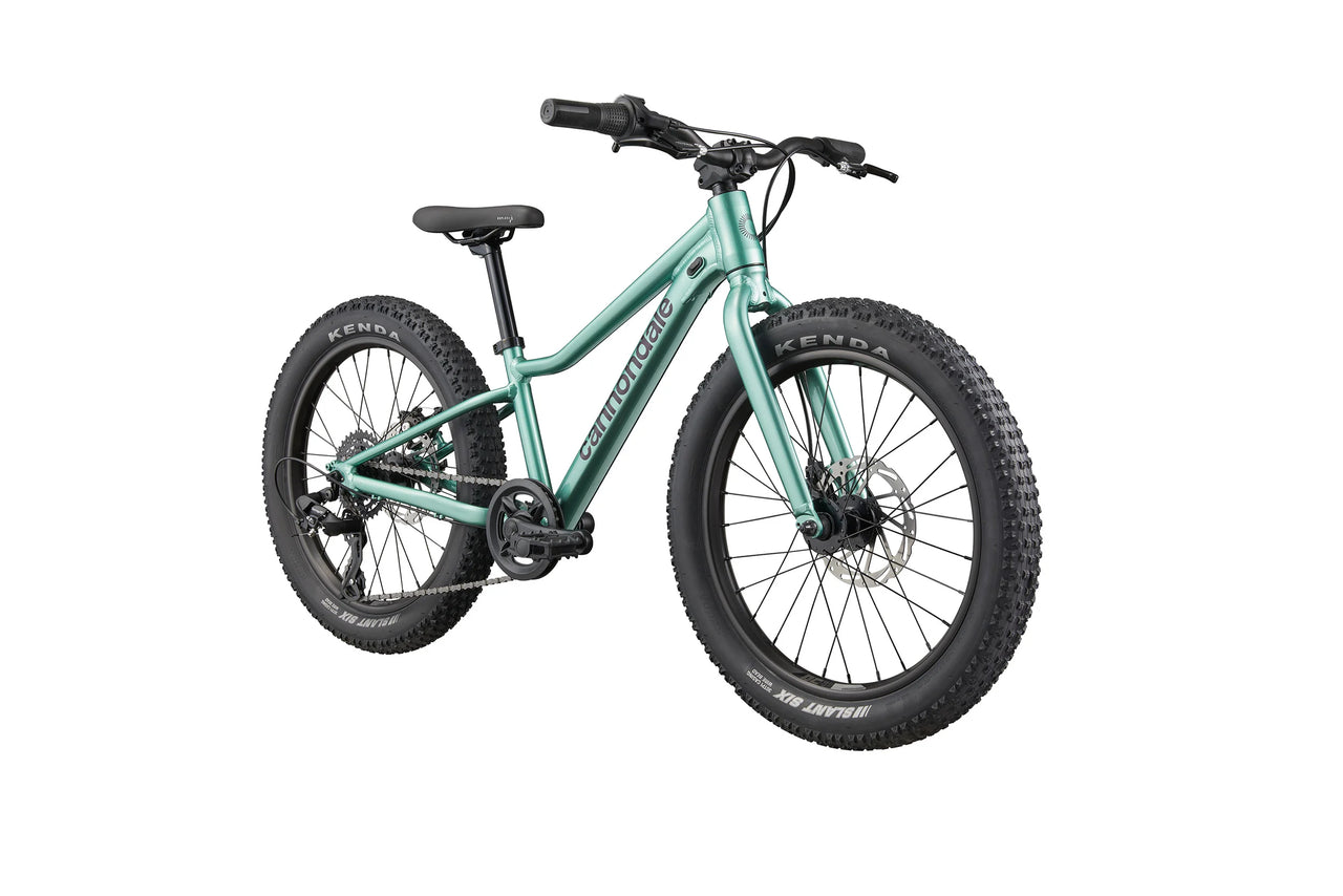 BICI CANNONDALE BAMBINO KIDS TRAIL 20 PLUS CACTUS GREEN FRONTE
