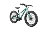 BICI CANNONDALE BAMBINO KIDS TRAIL 20 PLUS CACTUS GREEN FRONTE