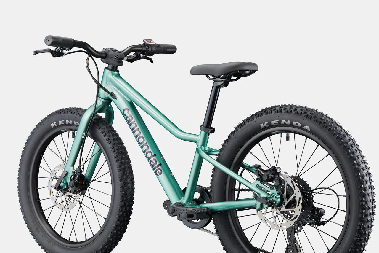 BICI CANNONDALE BAMBINO KIDS TRAIL 20 PLUS CACTUS GREEN RETRO