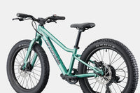 BICI CANNONDALE BAMBINO KIDS TRAIL 20 PLUS CACTUS GREEN RETRO
