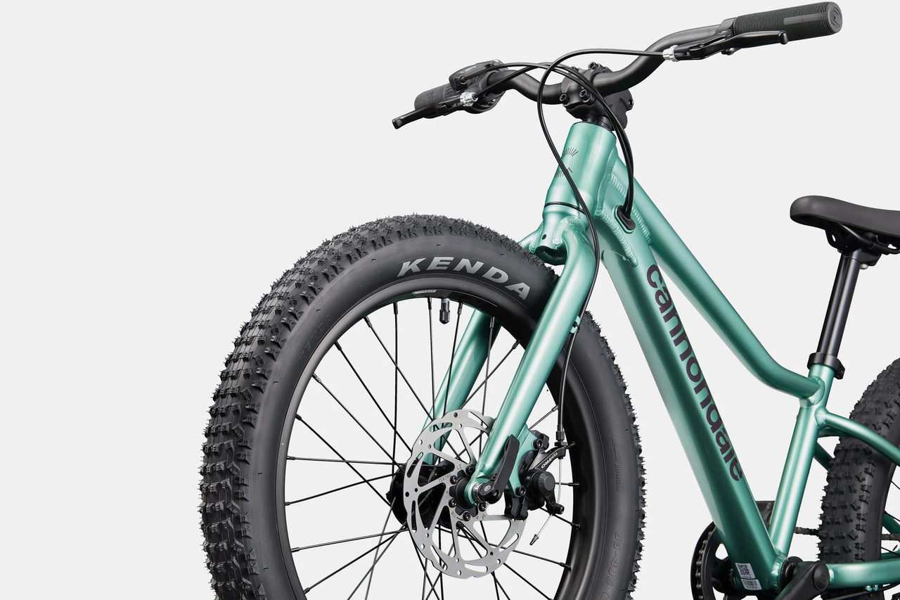 BICI CANNONDALE BAMBINO KIDS TRAIL 20 PLUS CACTUS GREEN RUOTA