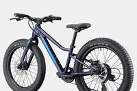 BICI CANNONDALE BAMBINO KIDS TRAIL PLUS 20 RETRO