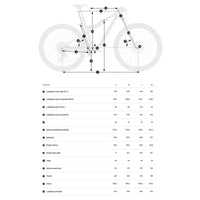 BICI ORBEA OIZ-M TEAM AXS 2027 WHITE GEOMETRIE
