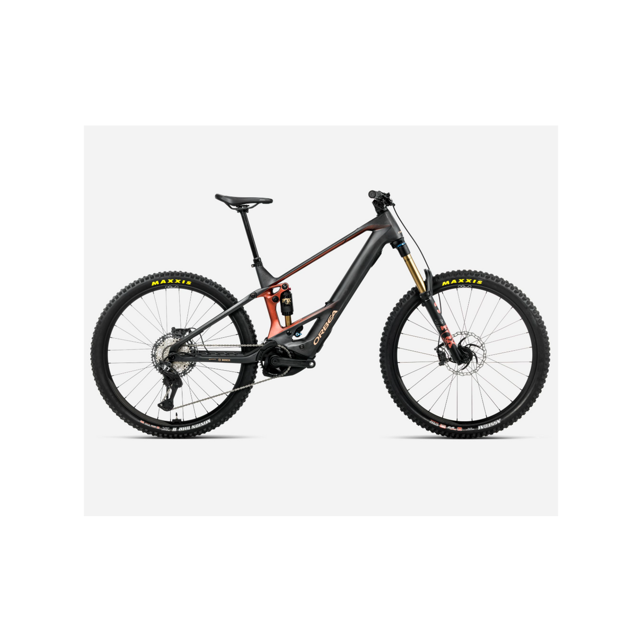 BICI ORBEA WILD M-TEAM