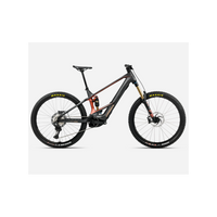 BICI ORBEA WILD M-TEAM