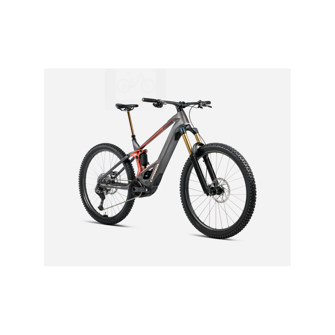 BICI ORBEA WILD M-TEAM