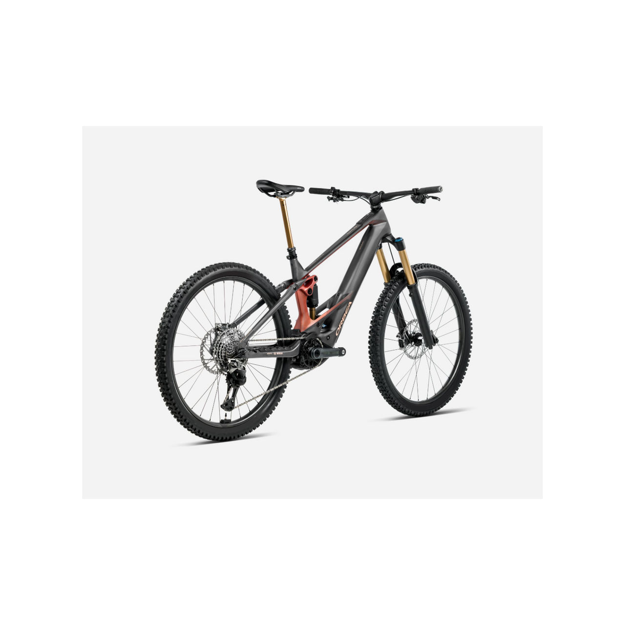 BICI ORBEA WILD M-TEAM