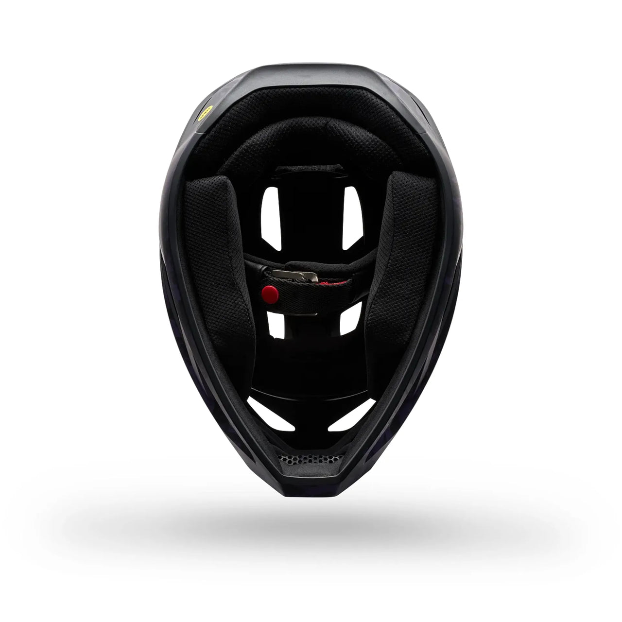 CASCO FOX RAMPAGE IMAGE PRINT INTERNO