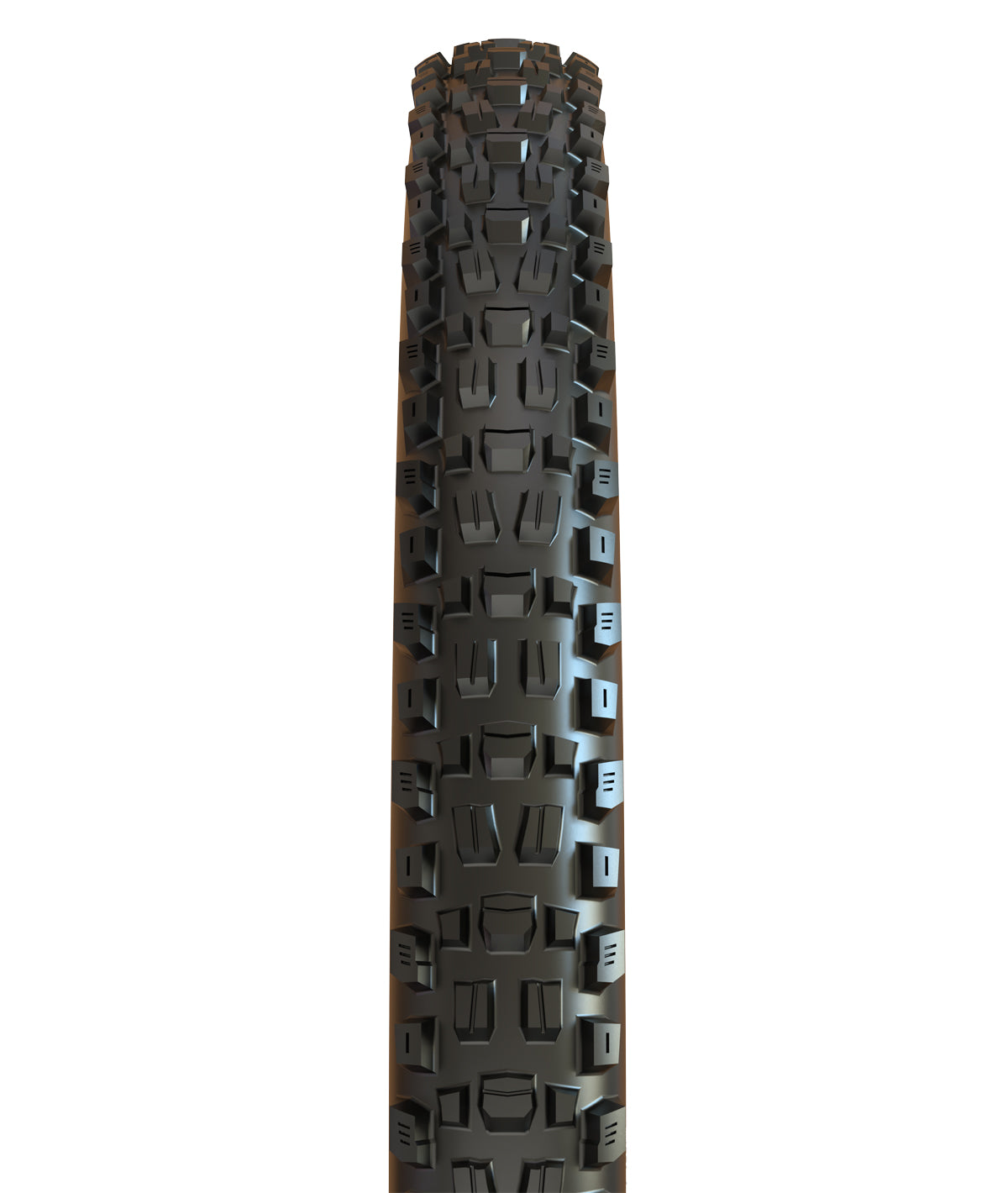 COPERTONE MAXXIS ASSEGAI TR 29X2.50 DH CASING