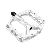 PEDALI LEATT ALLMTN 6.0 FLAT WIDE 114X107MM SILVER