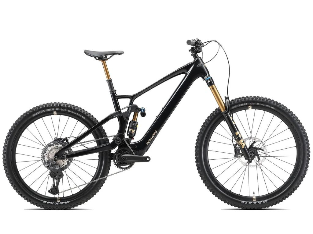 BICICLETA TEEWING ENDURO FLUX ONE PRO