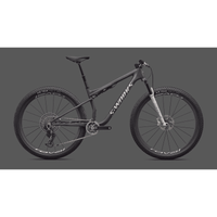 FIETS SPECIALIZED S-WORKS EPIC 9 LTD UL