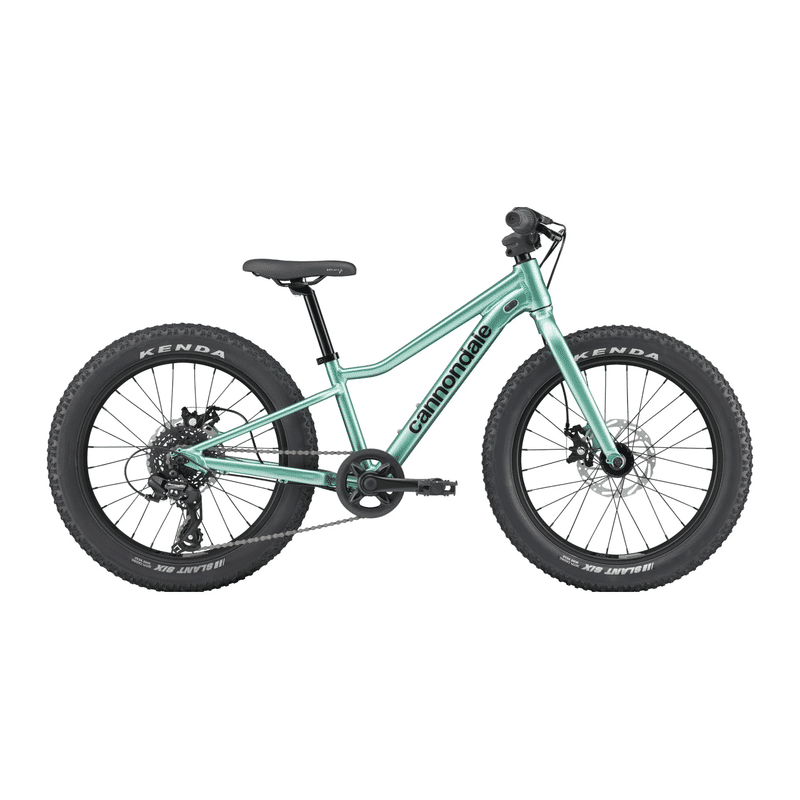 BICI CANNONDALE BAMBINO KIDS TRAIL PLUS 20 GREEN