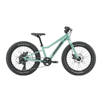 BICI CANNONDALE BAMBINO KIDS TRAIL PLUS 20 GREEN