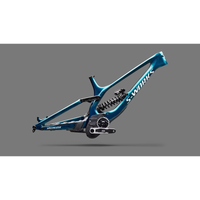 CADRE SPECIALIZED S-WORKS DEMO 11