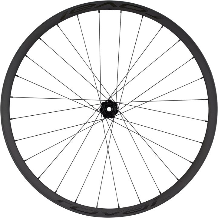 SPECIALIZED ROVAL CONTROL SL VI 350 HINTERRAD