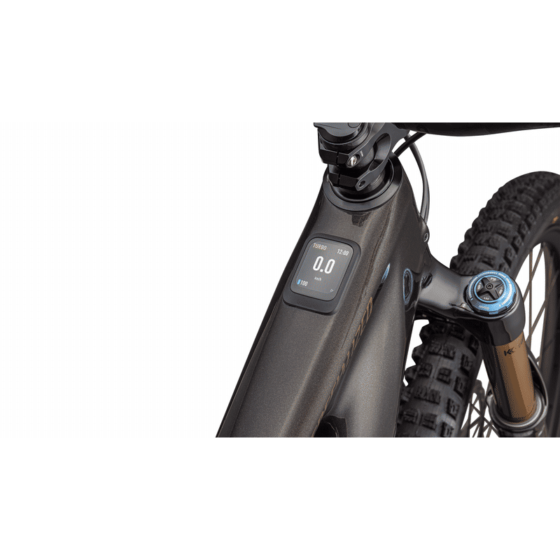 Turbo Levo 4 Pro