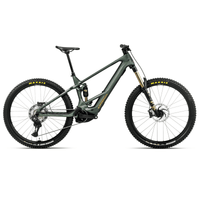BICI ORBEA WILD M-TEAM