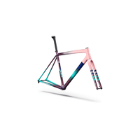 TELAIO SPECIALIZED S-WORKS CRUX