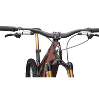 VÉLO specialized S-WORKS turbo LEVO 4