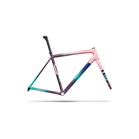 TELAIO SPECIALIZED S-WORKS CRUX