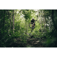 MOUSSE ANTI-FUROS TECHNOMOUSSE MTB RED POISON EVO 29